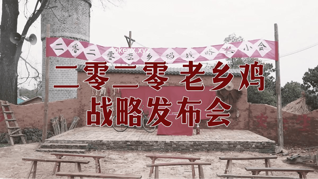 藏海传曹能义子团正式集结案例研究